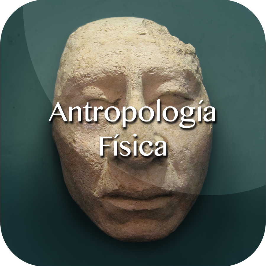 Antropología física