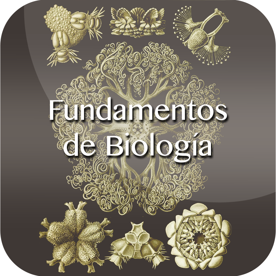 Fundamentos de biología