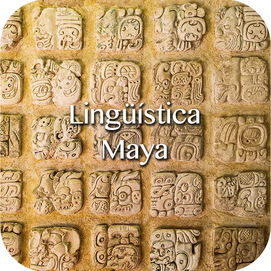 Lingüística maya